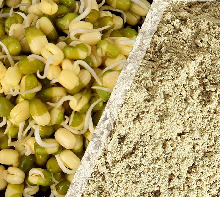 Christy Foods Products